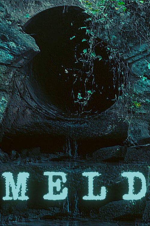 Movie poster for Meld