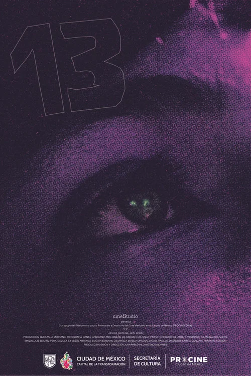 Movie poster for 13