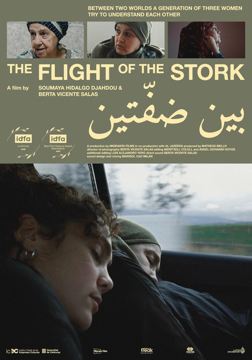 Movie poster for The Flight of the Stork (2025)