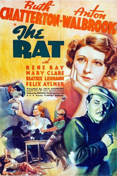 Movie poster for The Rat (1937)