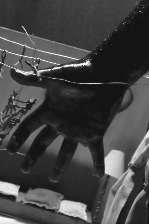 Eternal Return - PINK Edition poster