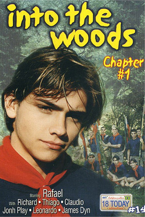 Movie poster for Into the Woods chapter 1 (2004)