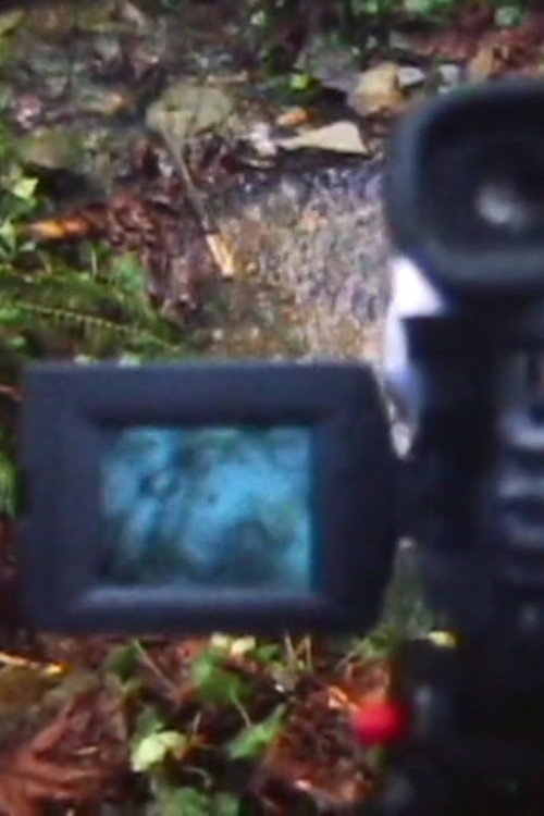 Movie poster for REMOTE VIEWING (2019)