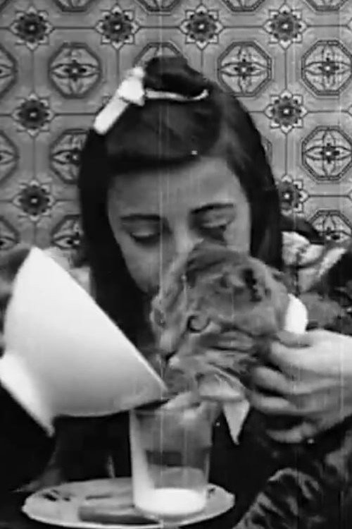 Movie poster for Pussy's Breakfast (1905)