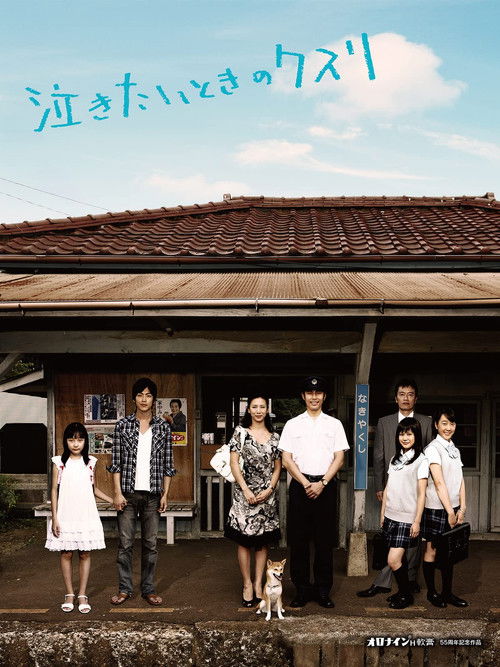 Movie poster for Nakitai toki no kusuri (2009)