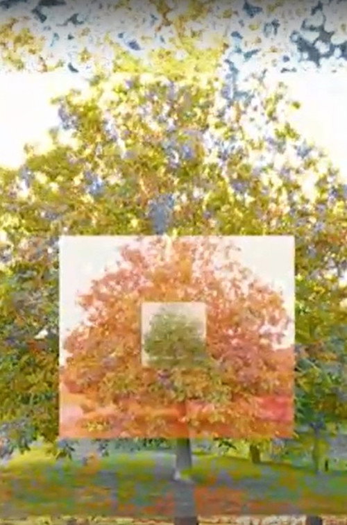 Movie poster for Le néflier (2014)