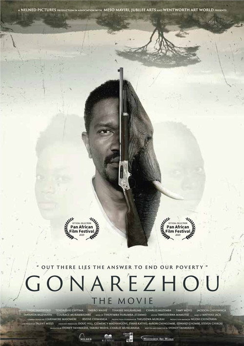 Movie poster for Gonarezhou: The Movie (2020)