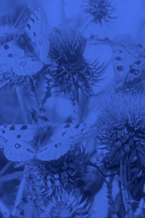 Movie poster for The Life of the Butterfly (1911)