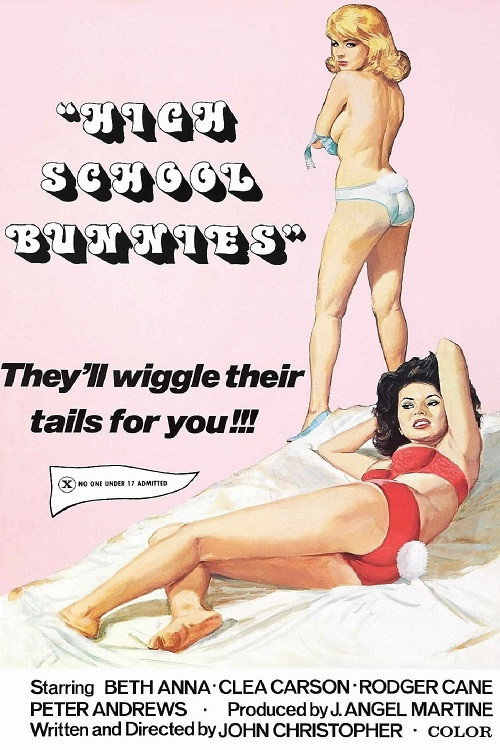 Movie poster for High School Bunnies (1977)