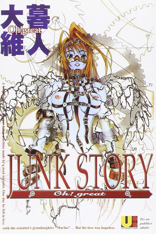 Movie poster for Junk Story (1999)