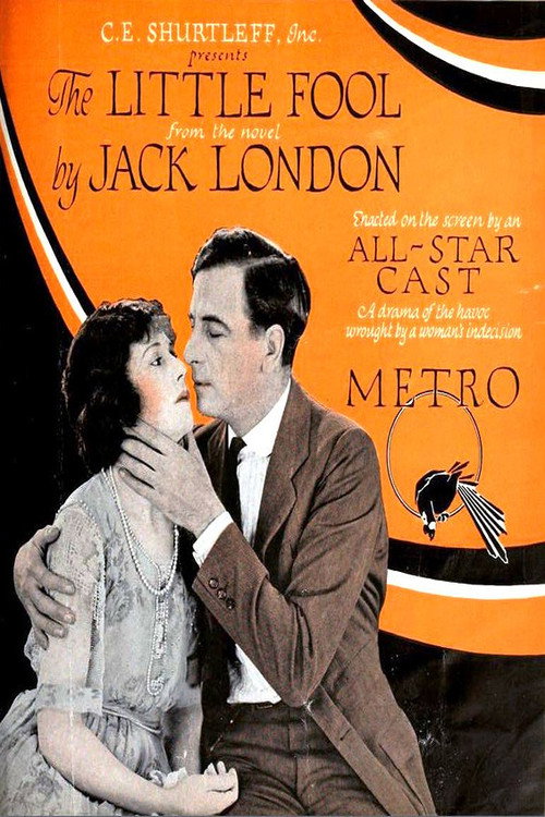 Movie poster for The Little Fool (1921)