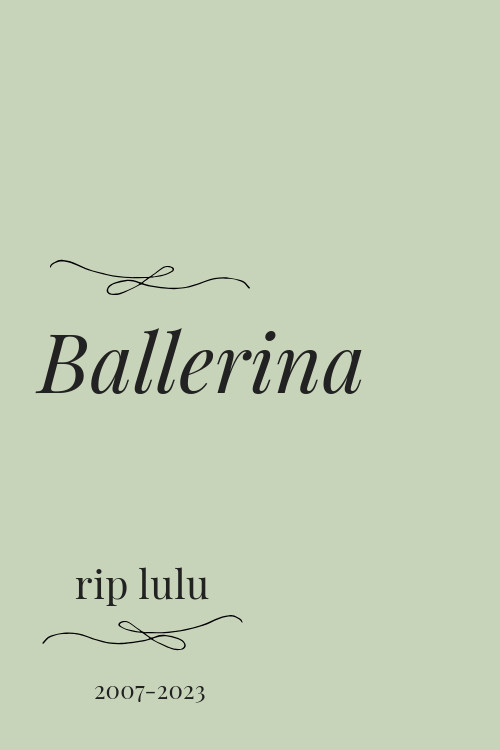 Movie poster for Ballerina (2023)