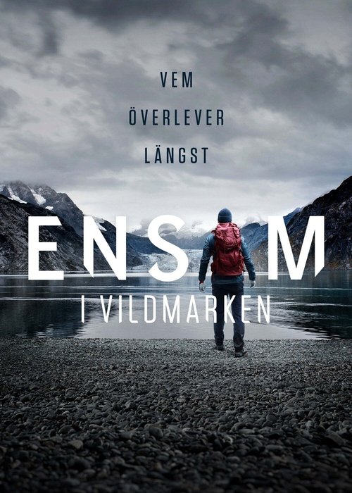 Alone Sweden poster