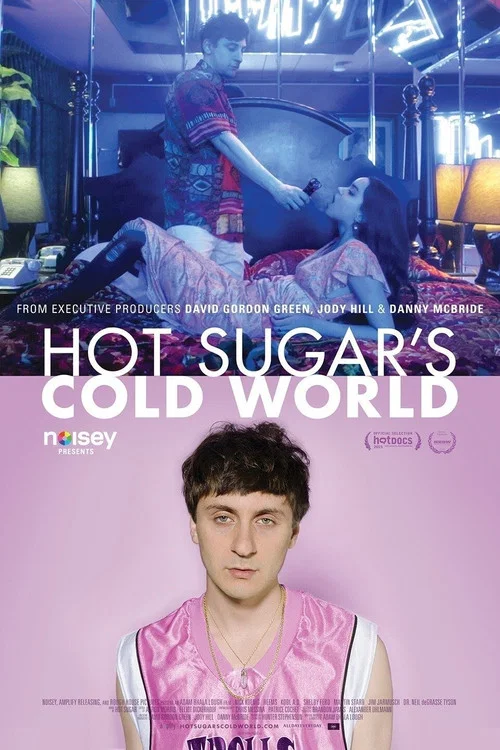 Movie poster for Hot Sugar's Cold World (2015)