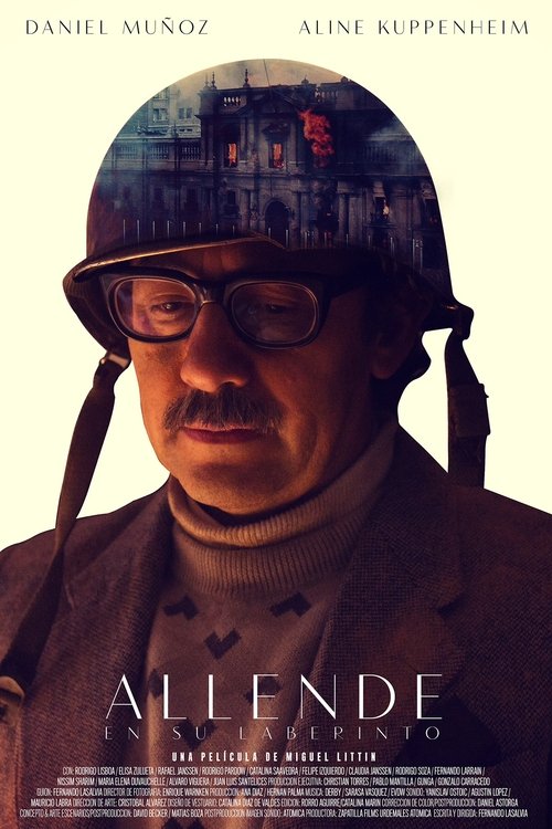 Movie poster for Allende in His Maze (2014)