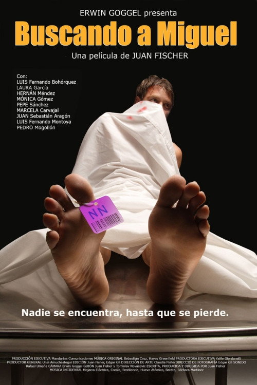 Movie poster for Looking for Miguel (2007)