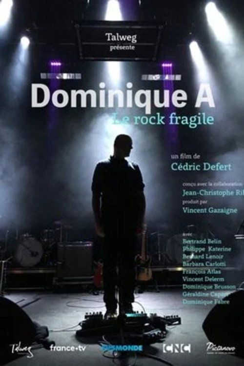 Movie poster for Dominique A, le rock fragile (2019)