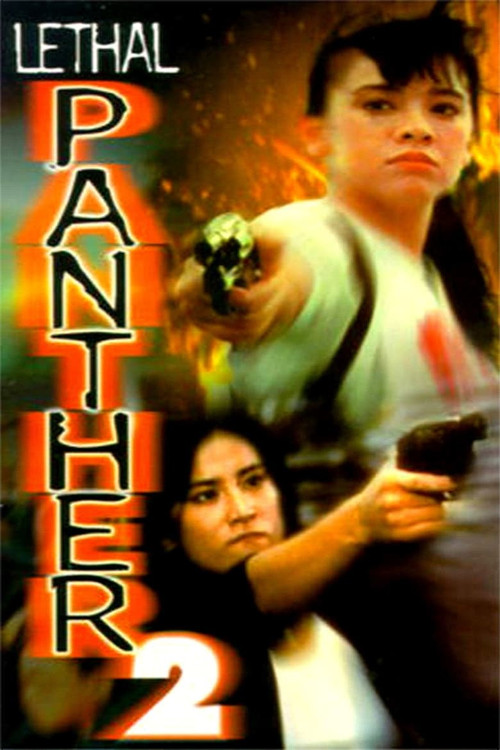 Movie poster for Lethal Panther 2 (1993)