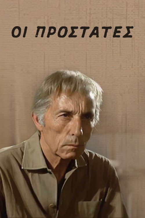Movie poster for The Protectors (1973)