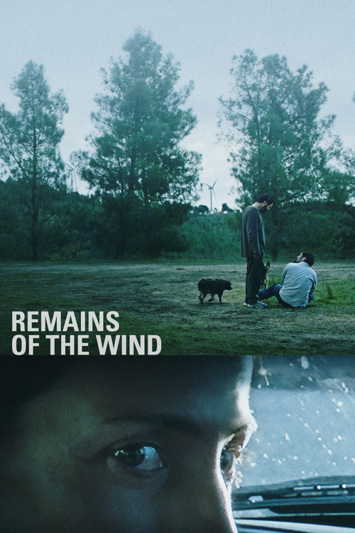 Movie poster for Remains of the Wind (2022)