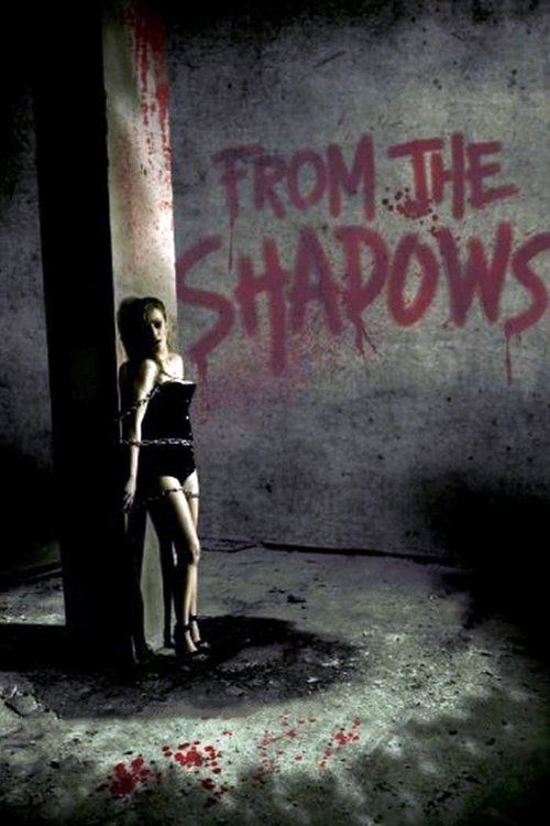 Movie poster for From the Shadows (2009)