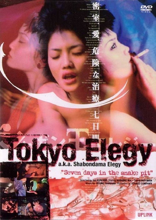 Movie poster for Tokyo Elegy (1999)