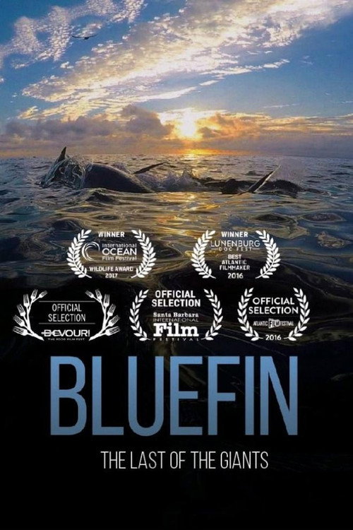 Movie poster for Bluefin (2017)