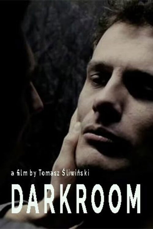 Movie poster for Darkroom (2011)