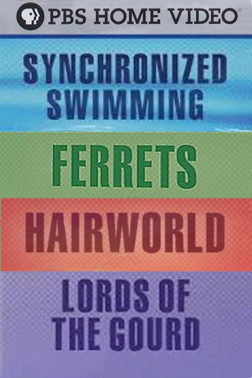 The Pursuit of Excellence poster