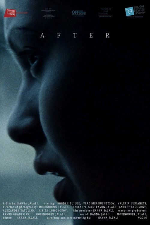Movie poster for After (2016)