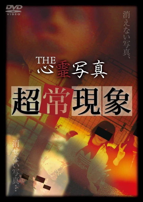 Movie poster for The Spirit Photography: Paranormal Phenomenon (2011)