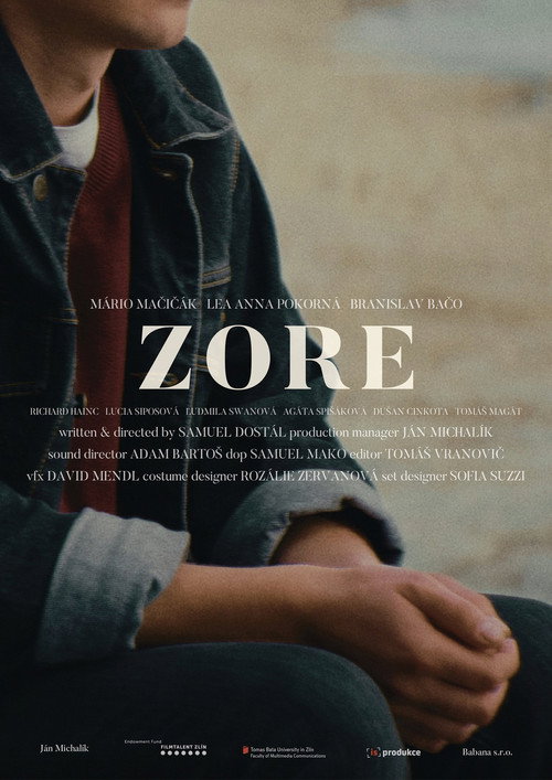 Movie poster for Zore (2025)