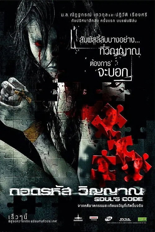 Movie poster for Soul's Code (2008)