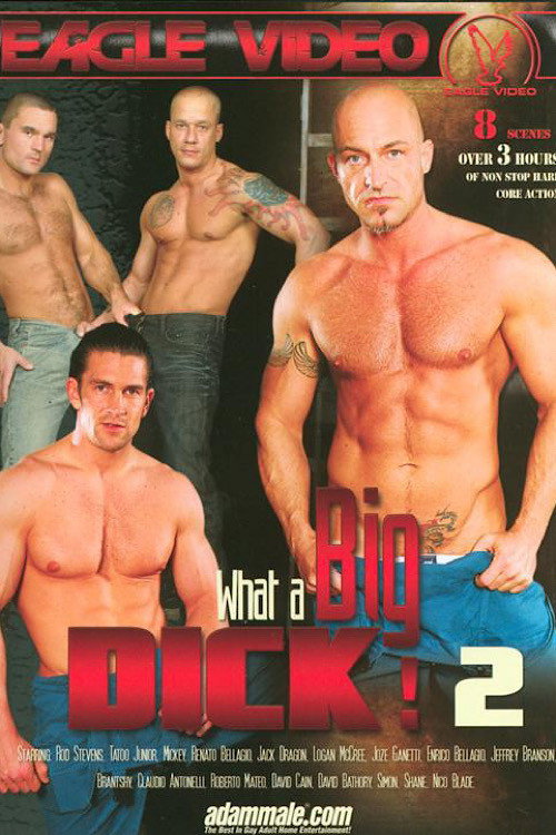Movie poster for What a Big Dick! 2 (2014)