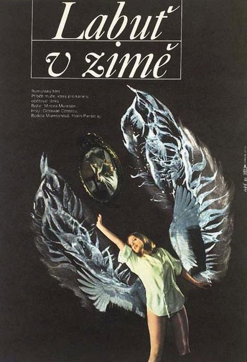 Movie poster for A Swan in Winter (1983)