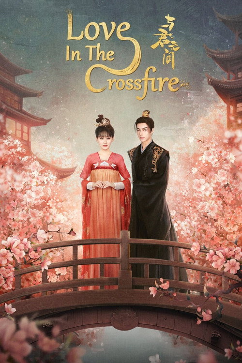 Series poster for Love in the Crossfire (2024)