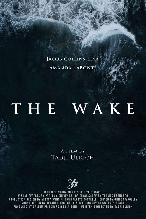 Movie poster for The Wake (2025)