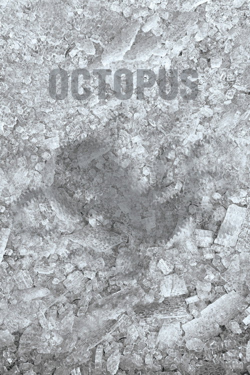 Movie poster for Octopus (2021)