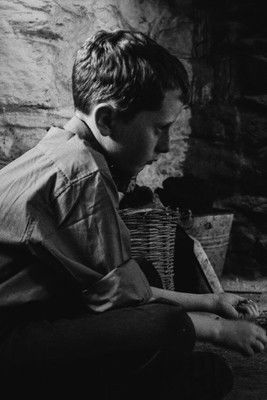 Movie poster for The Welfare of Tomás Ó Hallissy (2017)