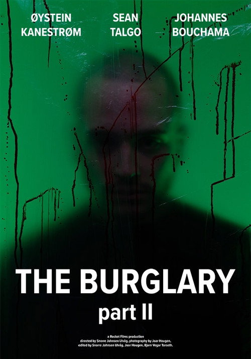 Movie poster for The Burglary: Part II