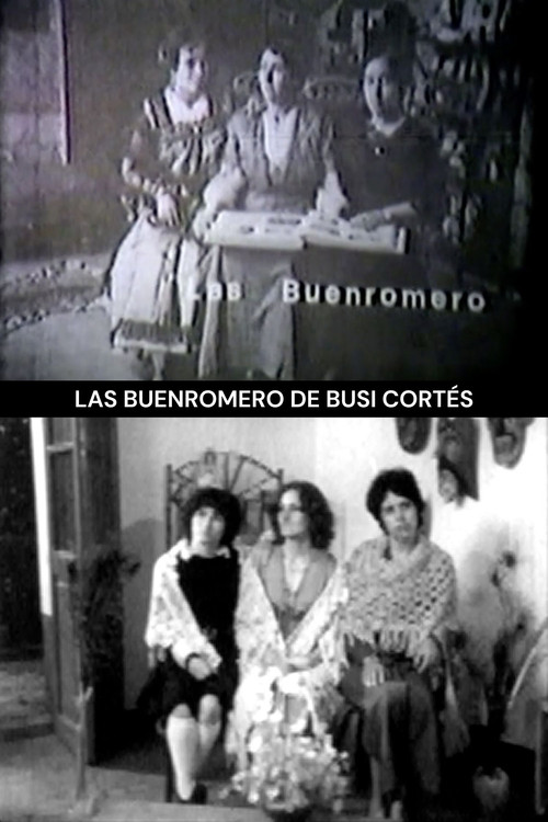 Movie poster for The Buenoromeros (1979)