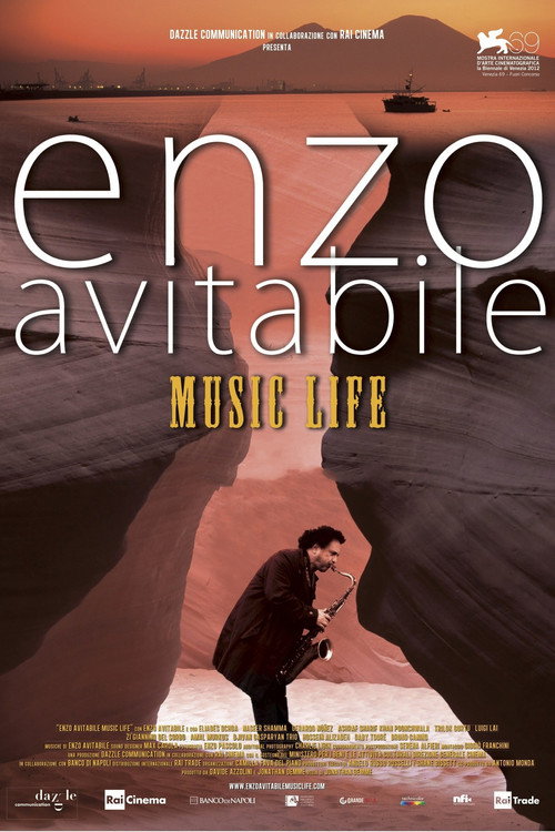 Movie poster for Enzo Avitabile Music Life (2013)