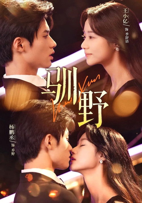 Tamed by Temptation poster