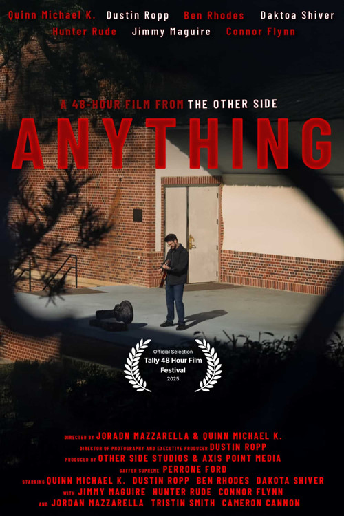 Movie poster for Anything