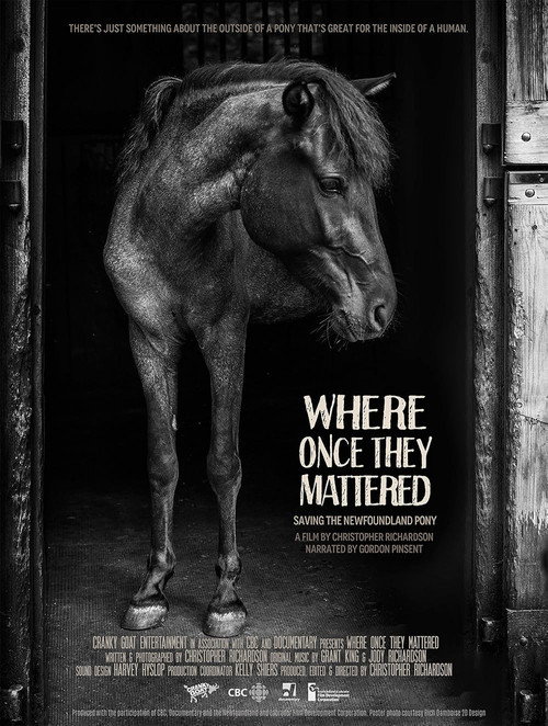 Movie poster for Where Once They Mattered (2015)
