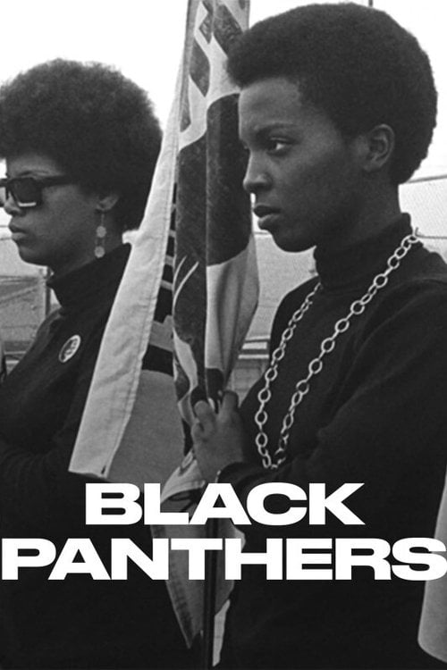 Series poster for Black Panthers (2020)