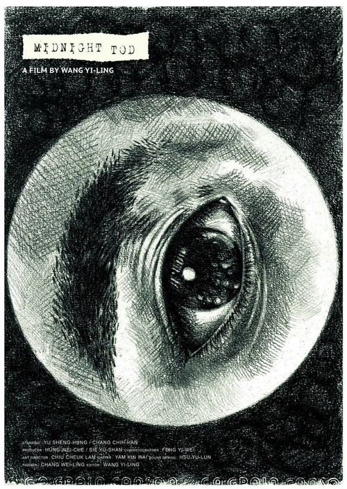 Movie poster for Midnight Tod (2017)
