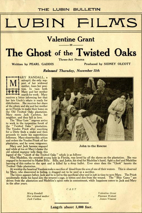 Movie poster for The Ghost of Twisted Oaks (1915)