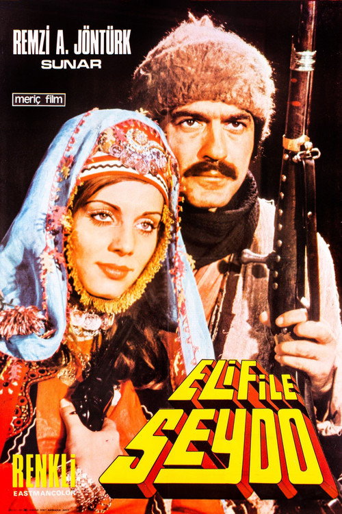 Movie poster for Elif ile Seydo (1972)