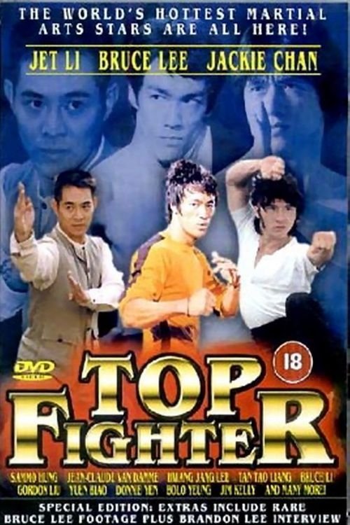 Movie poster for Top Fighter (1995)
